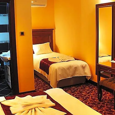 Artemis Wellness 4*