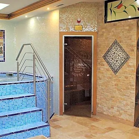Artemis Wellness 4*
