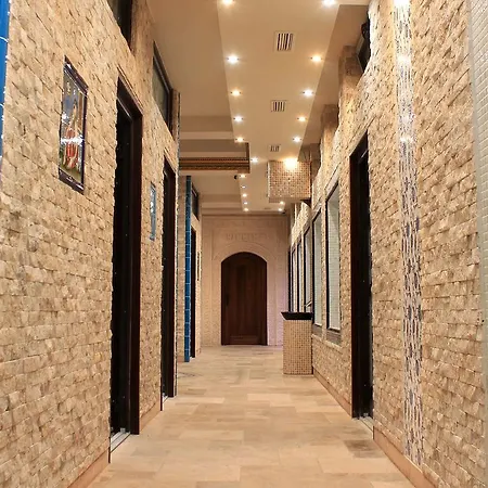 Artemis Wellness 4* Sturovo