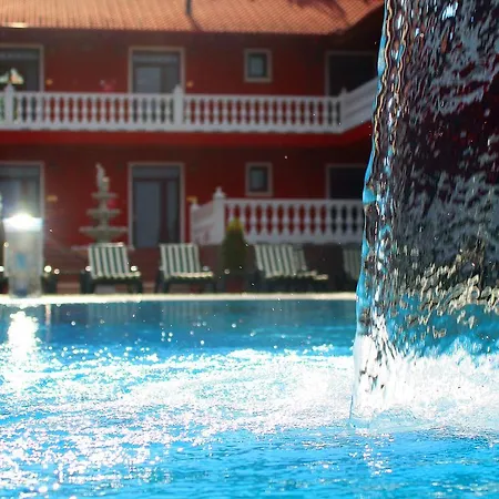 Artemis Wellness