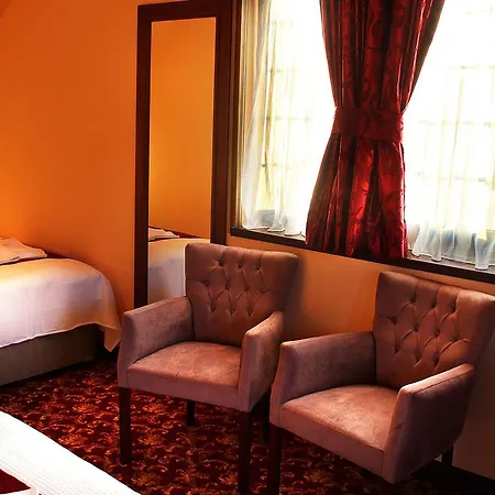 호텔 Artemis Wellness 4*
